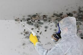 Professional Mold Remediation in Blue Rapids, KS